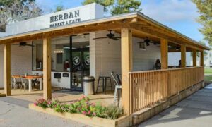 Herban_2
